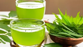 Why Organic Gardeners Recommend Neem Oil And Soapy Water For Hassle-Free Home Plant Care