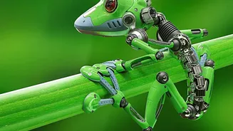 Guests Should Know Whether Robot Interactions Are Linked to Room Profiles
