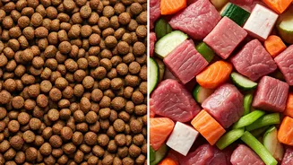The Raw Food Debate: Why Pet Parents Ditch Kibble