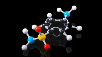 How Scientists Analyze Returned Space Samples For Organic Molecules And Amino Acids