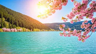 Related Stories banner