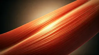 Unlock Your Forties: Why More Protein is Key for Healthy Aging & Vitality