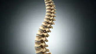 Ditch Back Stiffness Try Hip Opening Flows For Corporate Workers