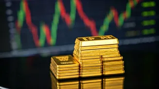 Groww IPO: Key Dates, GMP Insights & Investment Outlook