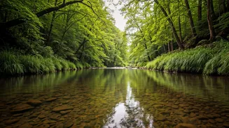 Actively Managing Stress: Strategies for Inner Calm