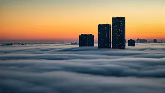 Delhi's Chilling Fog: Impact & Consequences