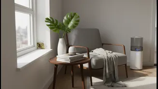 Smart Humidity-Defying Decor Tricks To Protect Your Rented Apartment From Monsoon Mould