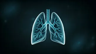 Lung-Function Study Needs A Responsible Decode