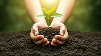 Kerala's Bold Move: Poverty-Free by November?