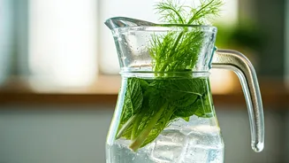 Fennel And Mint Over-Night Water Is The Ultimate Gut Cooler