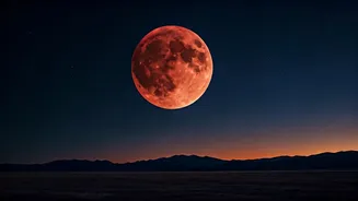 Related Stories banner