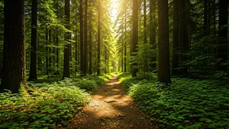 North India's Forest Paths Become Weekend Favourites