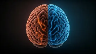 Daily Afternoon Naps? Neurologist Warns of Sleep Cycle Disruption & Nighttime Insomnia