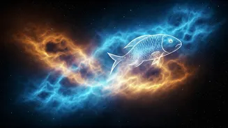 Related Stories banner