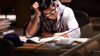 How Fresh Graduates Can Effectively Choose Between New And Old Tax Regimes