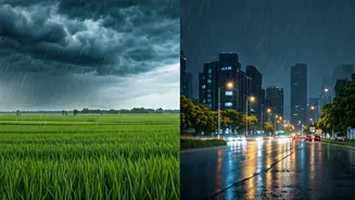From Crops To Commutes: Rainfall Matters