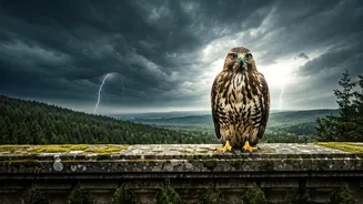 Whispers of Warning: Animals Who Sense Danger Before We Do