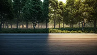 How Lack Of Tree Canopy Keeps Urban India Baking Overnight