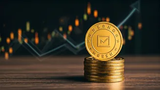 Meesho IPO: Checking Allotment Status & Potential Gains