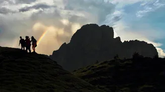 How walking nature trails makes you mentally stronger