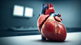 Unveiling Heart Health: What You Should Know