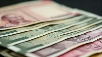 Decoding the Indian Mutual Fund Landscape