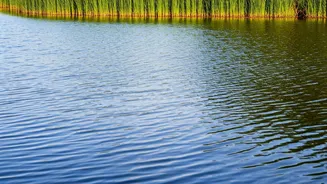 Navigating the Waters of Inner Peace and Wellness