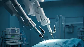 India-EU Trade Deal: Shifting Economic Tides & Pakistan's Concerns