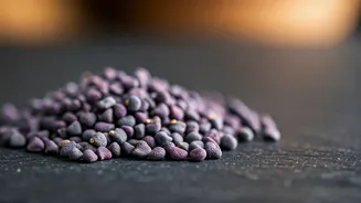 Unlock Perilla Seeds' Secrets: An Underrated Superfood Packed with Health Power