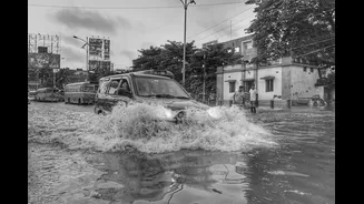 Understanding the Impact of El Niño on Global Weather Patterns