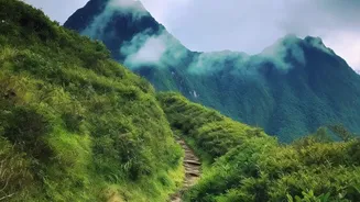 Western Ghats Eco-Trekking Guide: Environmental Responsibility Rules For Monsoon Hikers