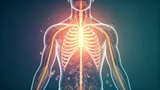 Aries to Pisces: Your Health Forecast for May 25 - 31, 2026 – Combatting Fatigue!