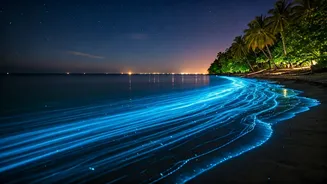 Bioluminescent Waters Make Peak Season Look Basic