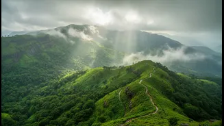 Scenic Western Ghats Adventures With Safety In Mind