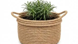 DIY: How to make reed basket planters
