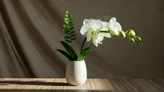 Sureena Chowdhri's Summer Collection: Japanese Ikebana Meets Indian Craftsmanship