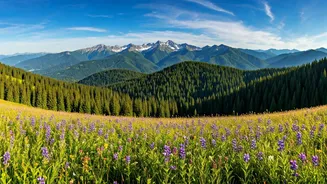 Related Stories banner