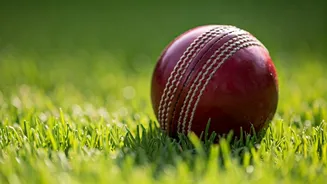 West Bengal's Electoral Roll: A New Drive Begins