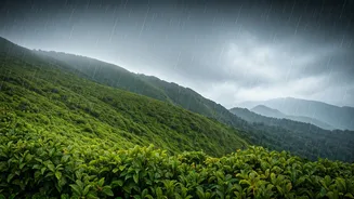Backpackers Head To Mist Shrouded Chikmagalur Peaks For Showers