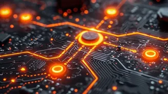 Indian IT Careers: Skills That Could Stay Valuable As AI Advances