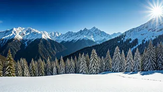 Kashmir's Winter Wonderland: Tourism Soars After Fresh Snowfall