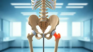 4 Ways to Boost Joint & Bone Health: Expert Advice