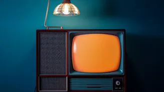 From Cable Soaps To Web Originals How Indian Home Viewing Evolved Over Time