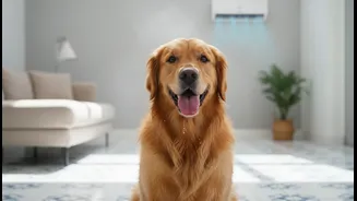 How Indoor Pet Overheating in Humid Homes Can Make Cooling Easier to Understand