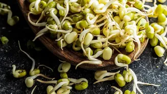 How High-Protein Sattu And Sprouted Legumes Help Urban Fitness Enthusiasts Stay Sharp All Day
