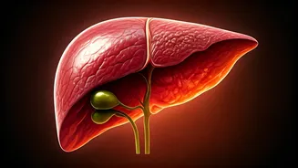 Cirrhosis Diagnosis: Can Liver Damage Be Reversed? Expert Insights & Hope