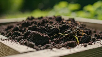 Garden Lovers Can't Stop Talking About Compost