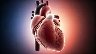 Silent Signals of High Blood Pressure: Cardiologists Reveal Subtle Clues You Must Not Ignore