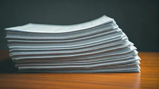 Sebi Simplifies IPO Disclosures for Retail Investors