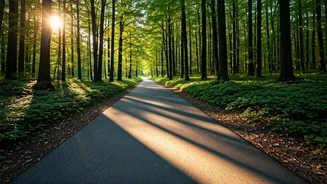 Gentle Fitness: The 6-6-6 Walking Rule Explained